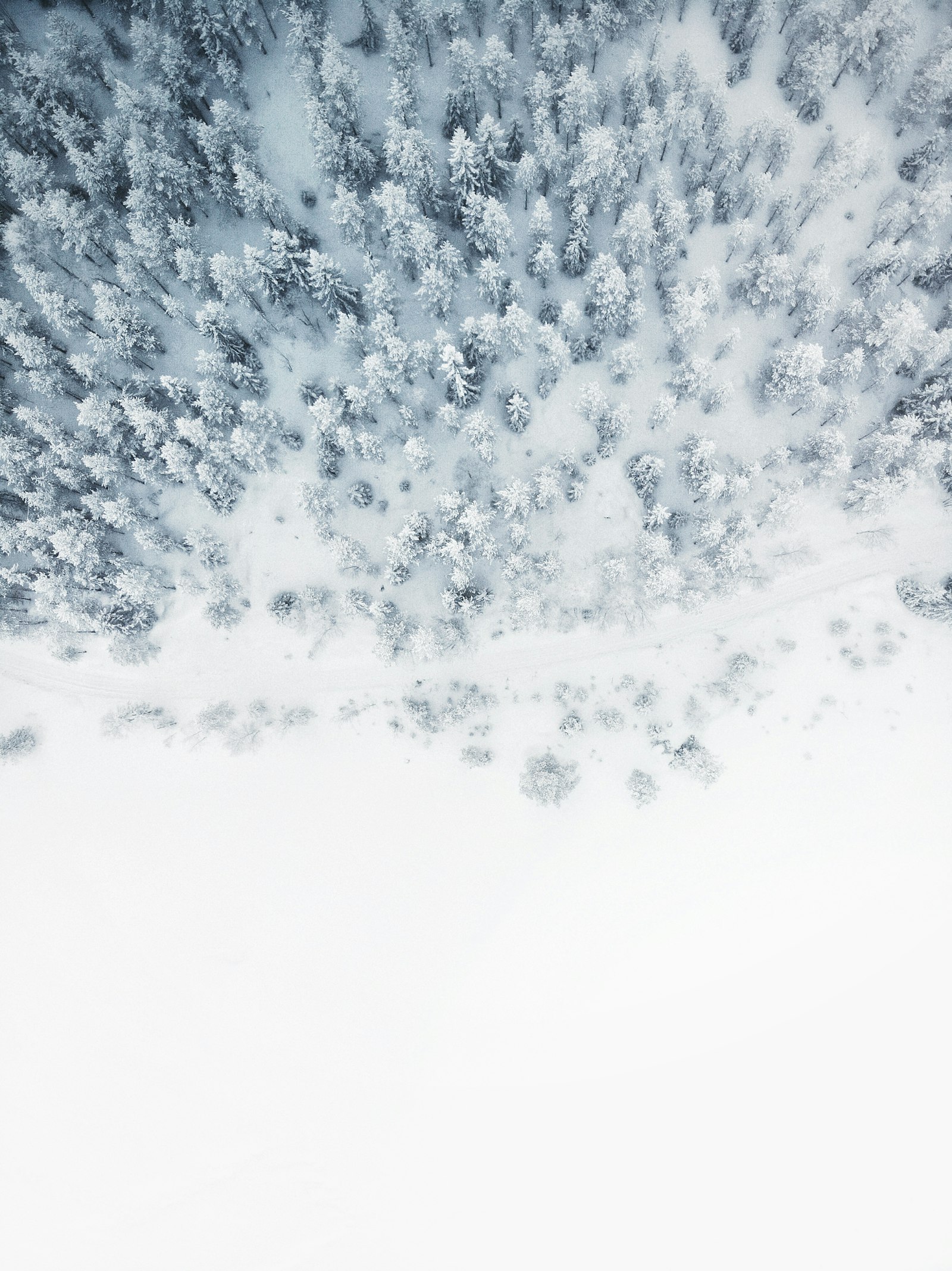 Contact GS Hospitality — Davos 2027