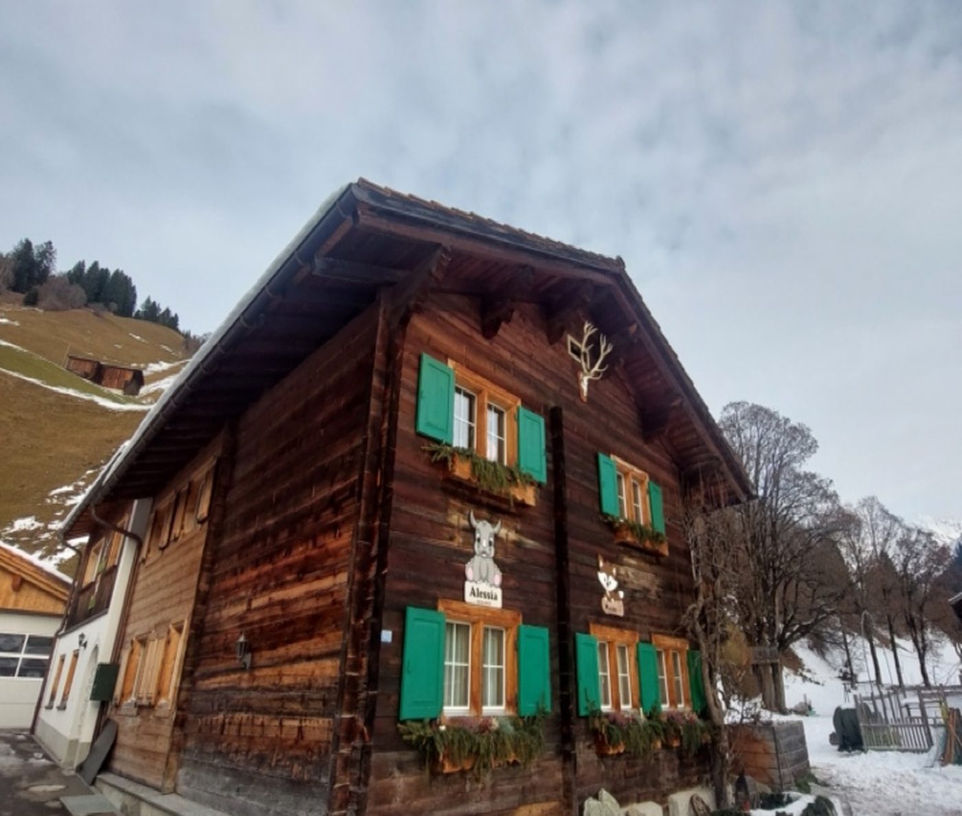 Luxury Chalets